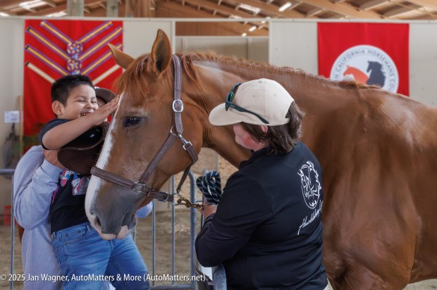 A fair attendee petting a horse.(Jan Wagner)