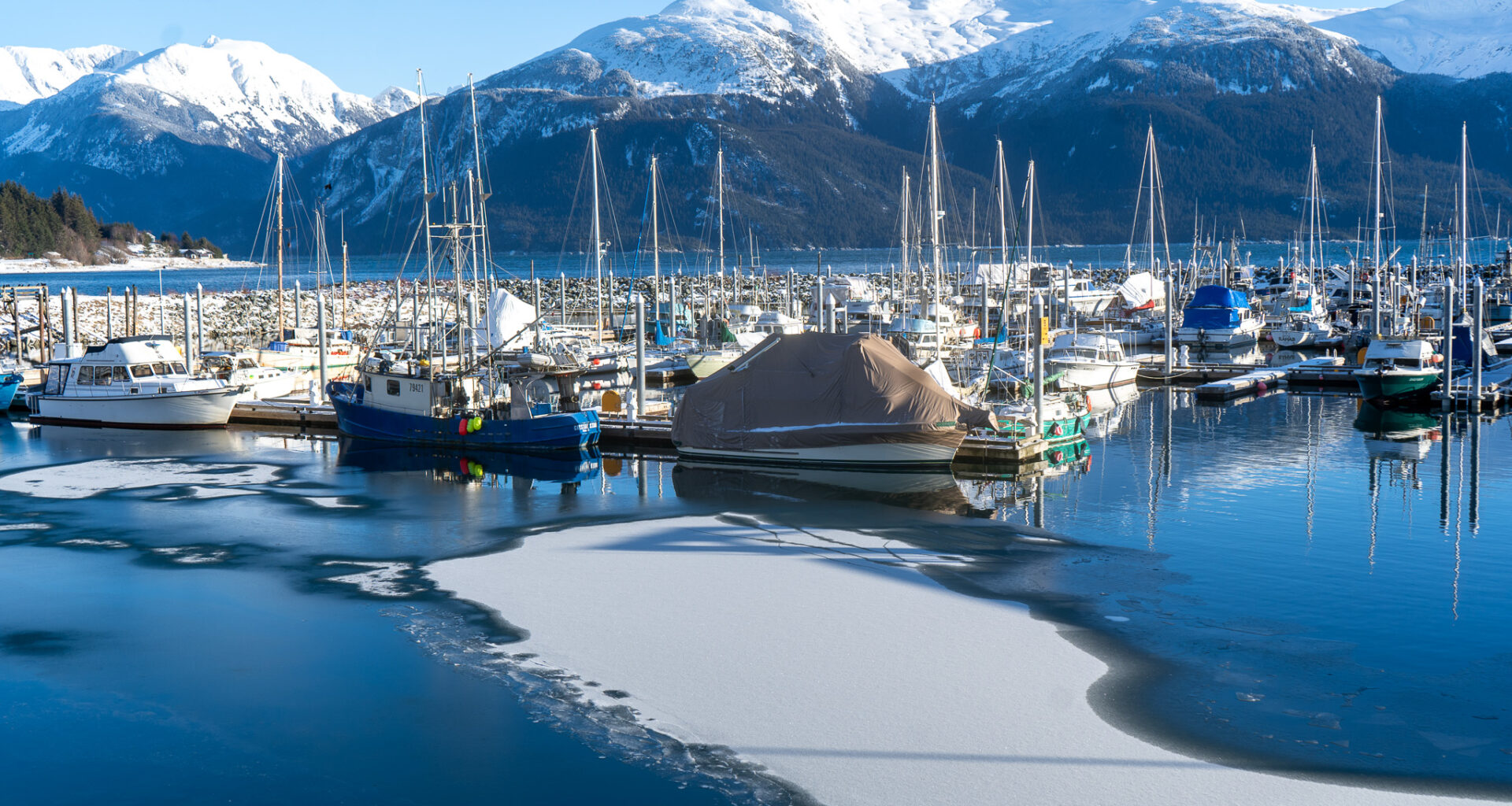 Ice forms at the small boat harbor in Haines. (Lex Treinen/Chilkat Valley News)