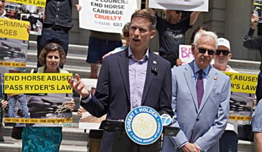 Animal advocates rally at City Hall after ‘not guilty’ verdct in horse abuse case