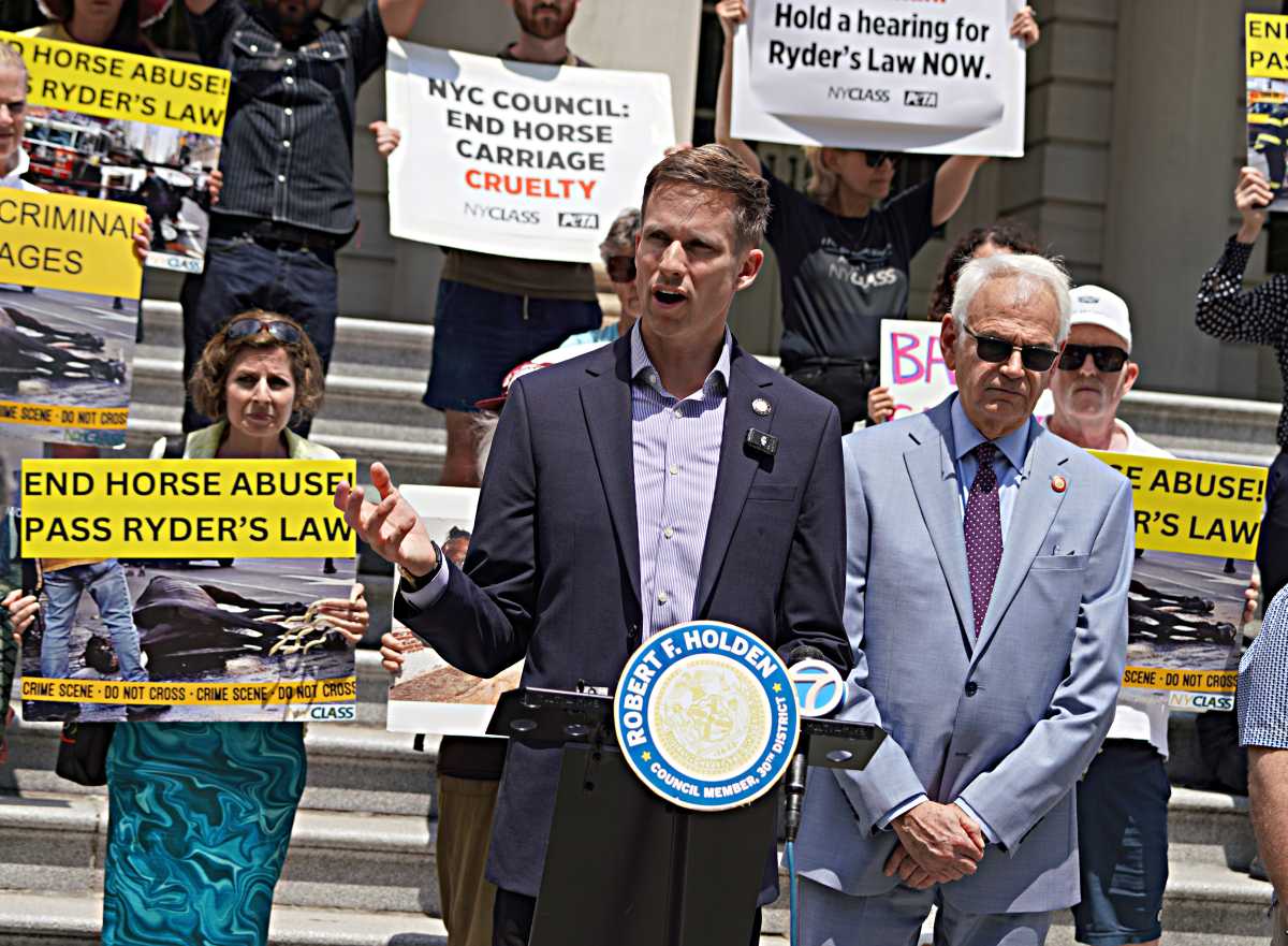 Animal advocates rally at City Hall after ‘not guilty’ verdct in horse abuse case