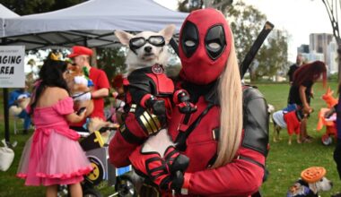 Superheroes and super-cute canines ruled the 2025 PAWmicon fundraiser – NBC Los Angeles