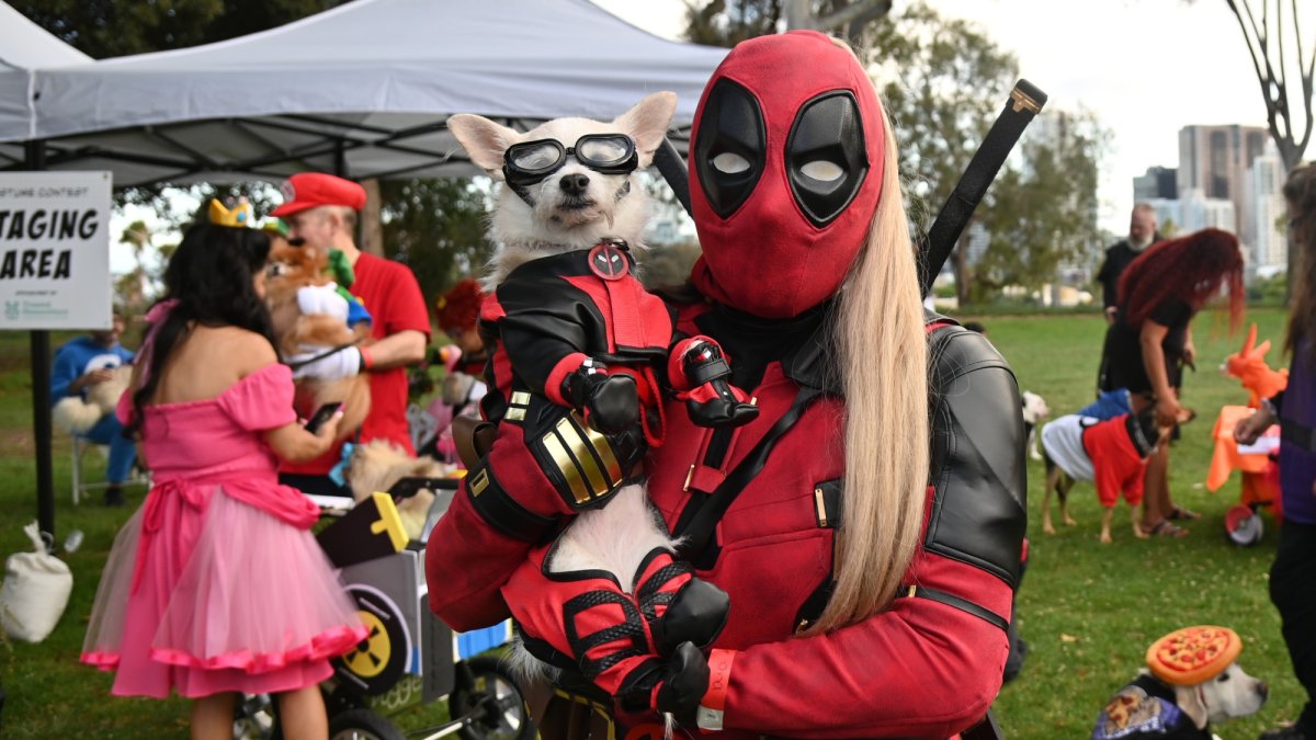 Superheroes and super-cute canines ruled the 2025 PAWmicon fundraiser – NBC Los Angeles