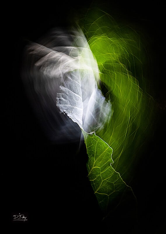 Abstract image featuring a bright green leaf with visible veins against a black background, overlapped by wisps of white and gray light creating an ethereal, swirling effect.