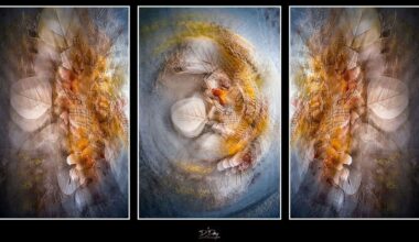 A digital triptych features abstract, layered forms with soft earthy colors, circular shapes, and translucent leaves, blending to create a dreamy, ethereal effect across three panels.