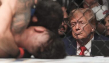 Donald Trump Plans UFC Fight On White House Grounds