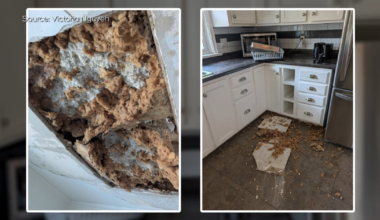woman shares story of ceiling collapse