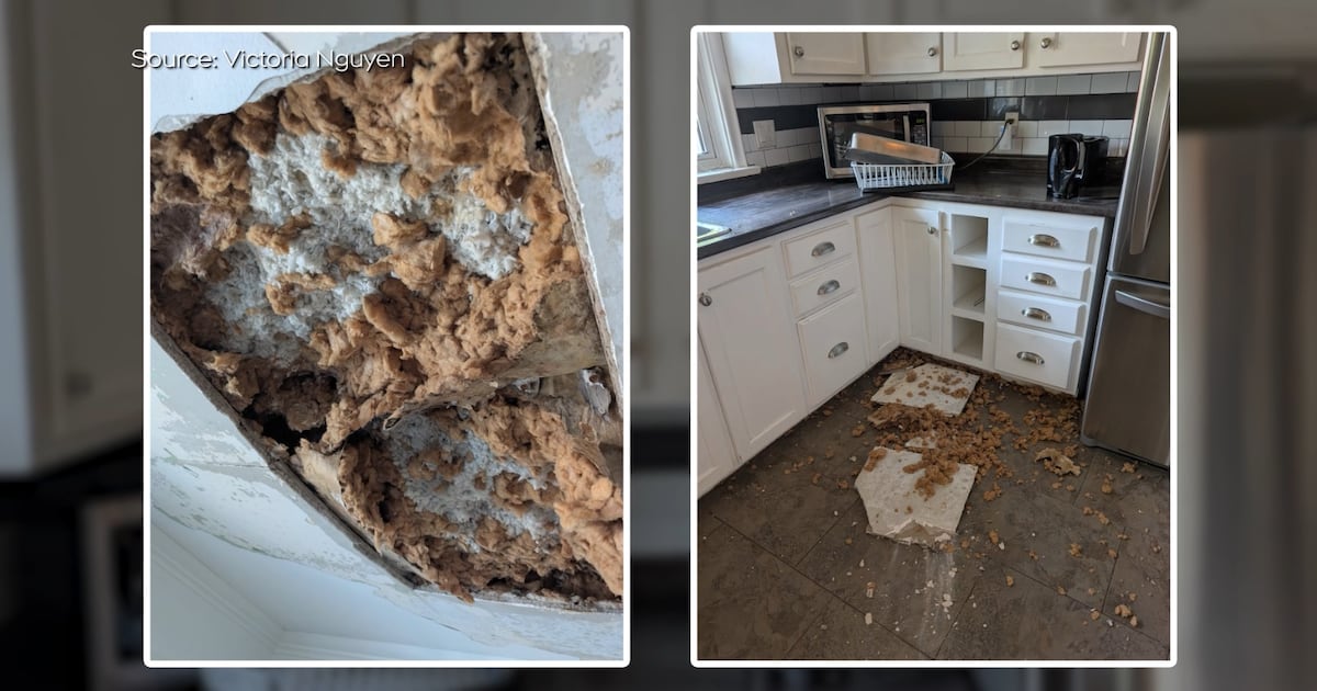 woman shares story of ceiling collapse