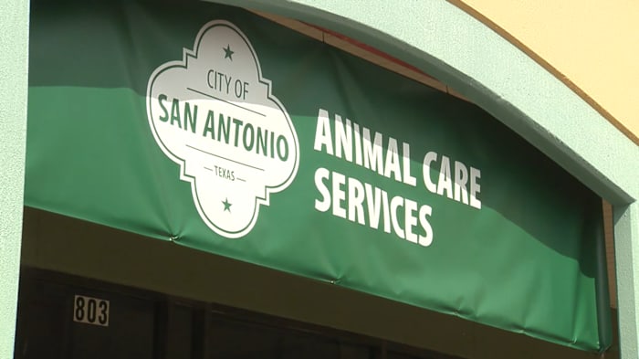 ACS seeking volunteers to help with shelter animals from Williamson County