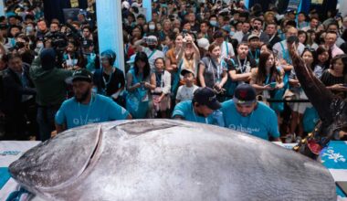 Sushi-Con to return this fall with two days of demos and tastings in New York City