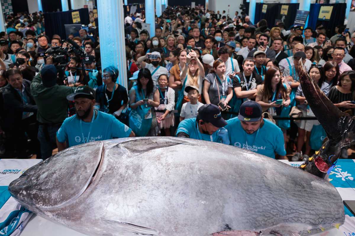 Sushi-Con to return this fall with two days of demos and tastings in New York City