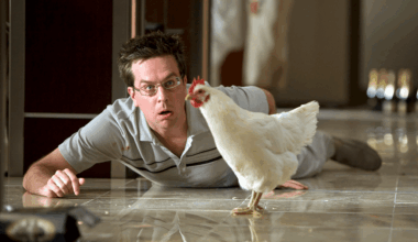 Ed Helms in 'The Hangover.'