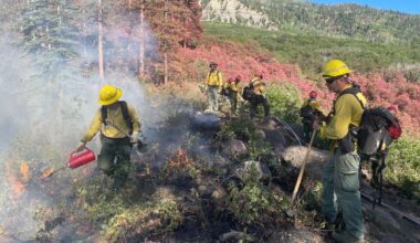 Elkhorn and Rim Road fires force evacuations in La Plata County