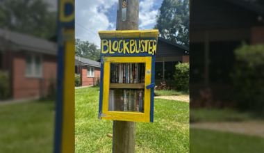 Murray Hill man brings back ‘Blockbuster’ with free tiny library of DVDs