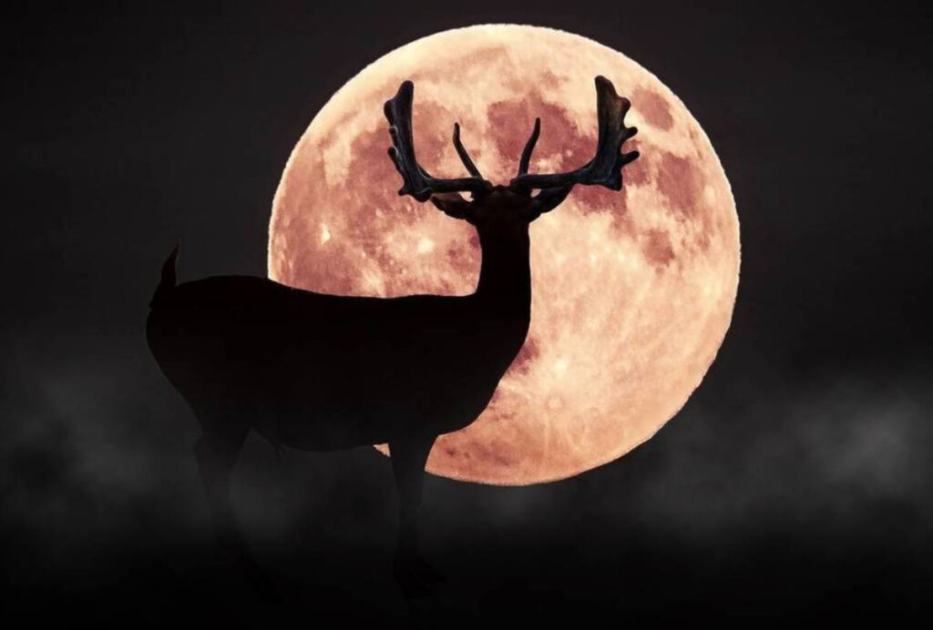 Image shows a buck silhouette in front of a full Buck Moon.