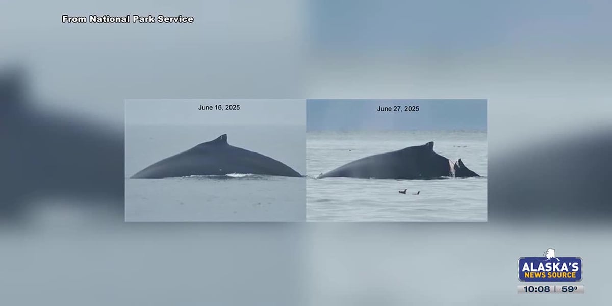 biologist warns of collisions on the water