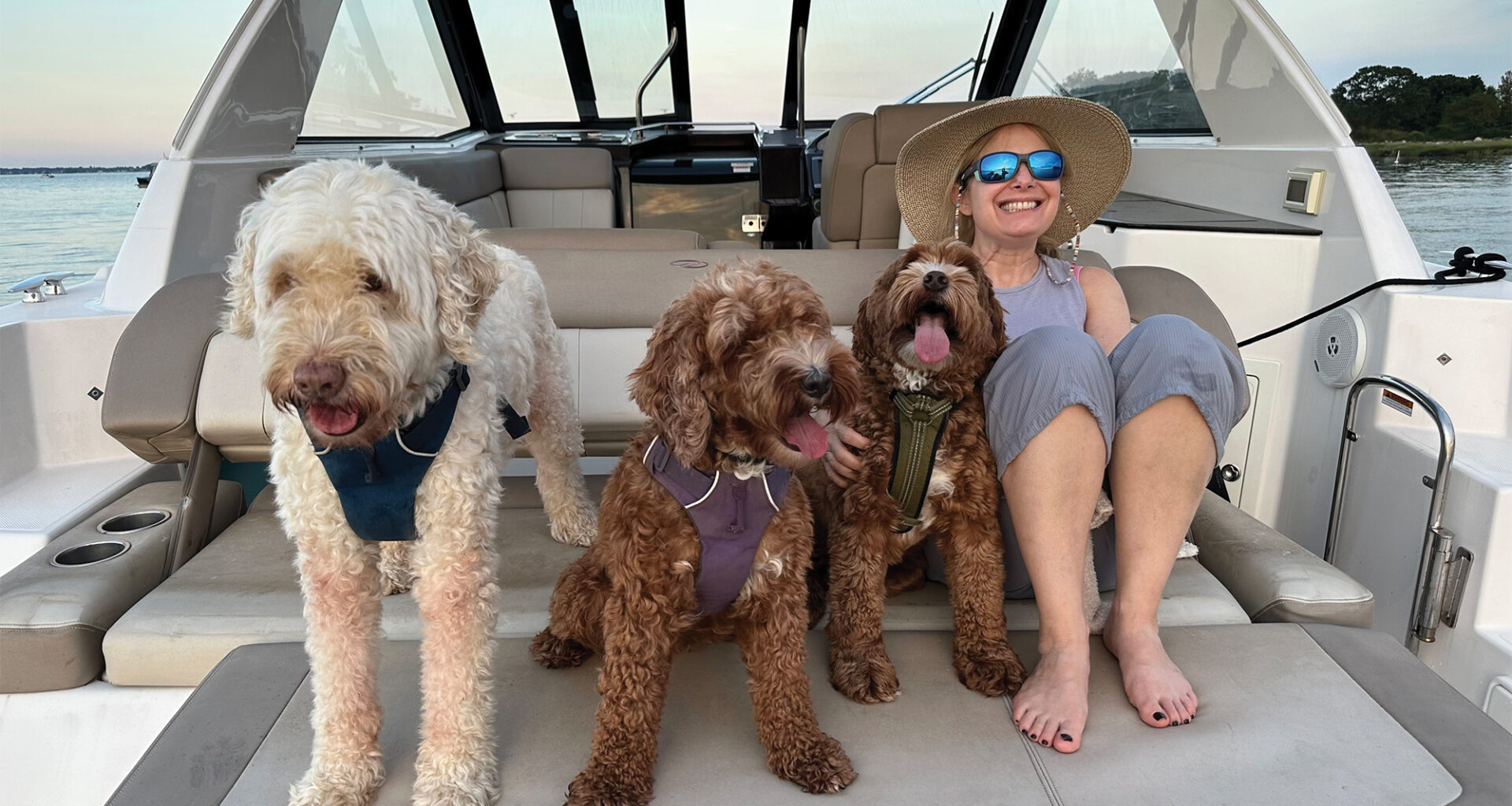 Stamford's Best Selling Author Elise Hart Kipness Releases New Book in August