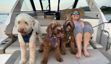 Stamford's Best Selling Author Elise Hart Kipness Releases New Book in August
