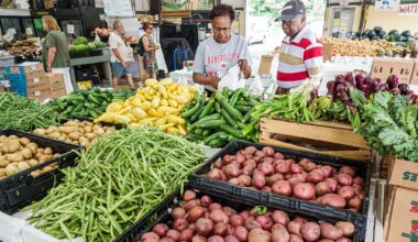 When will Medicaid and SNAP Changes Take Effect?