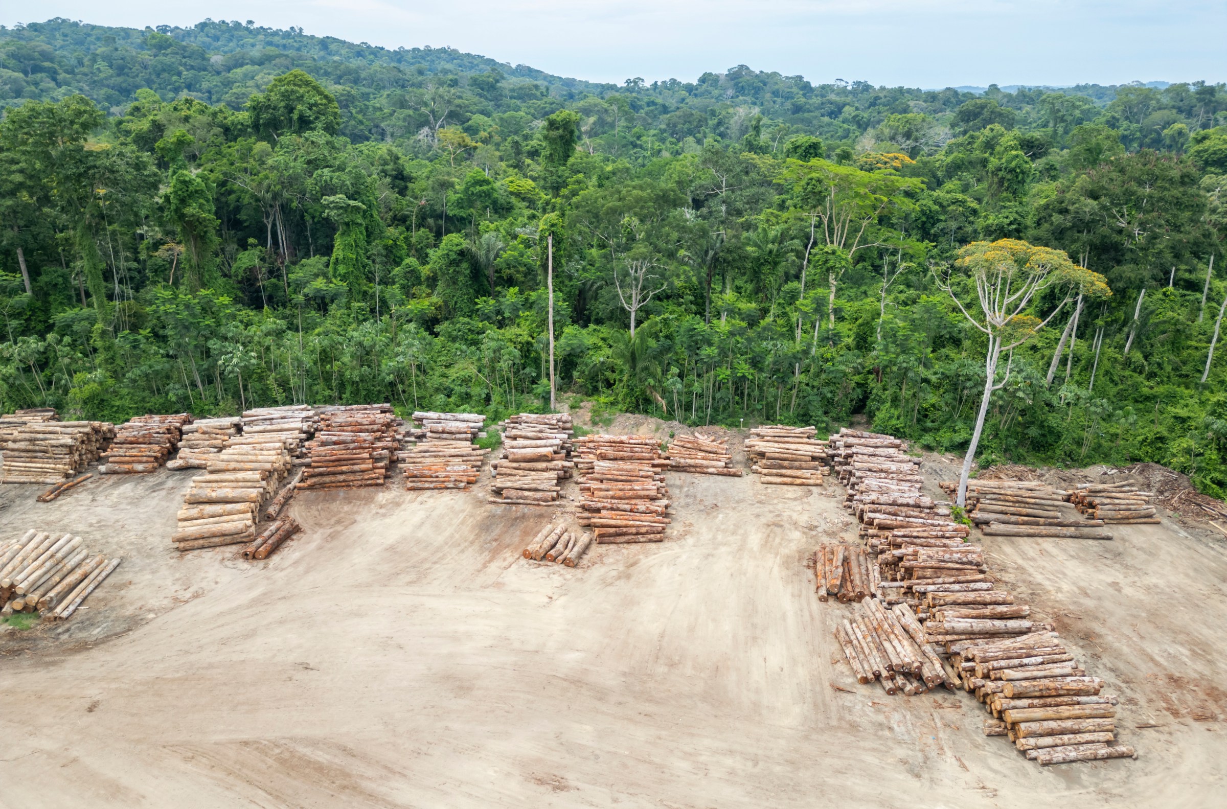 An aerial view of a logging yard in the Amazon rainforest.