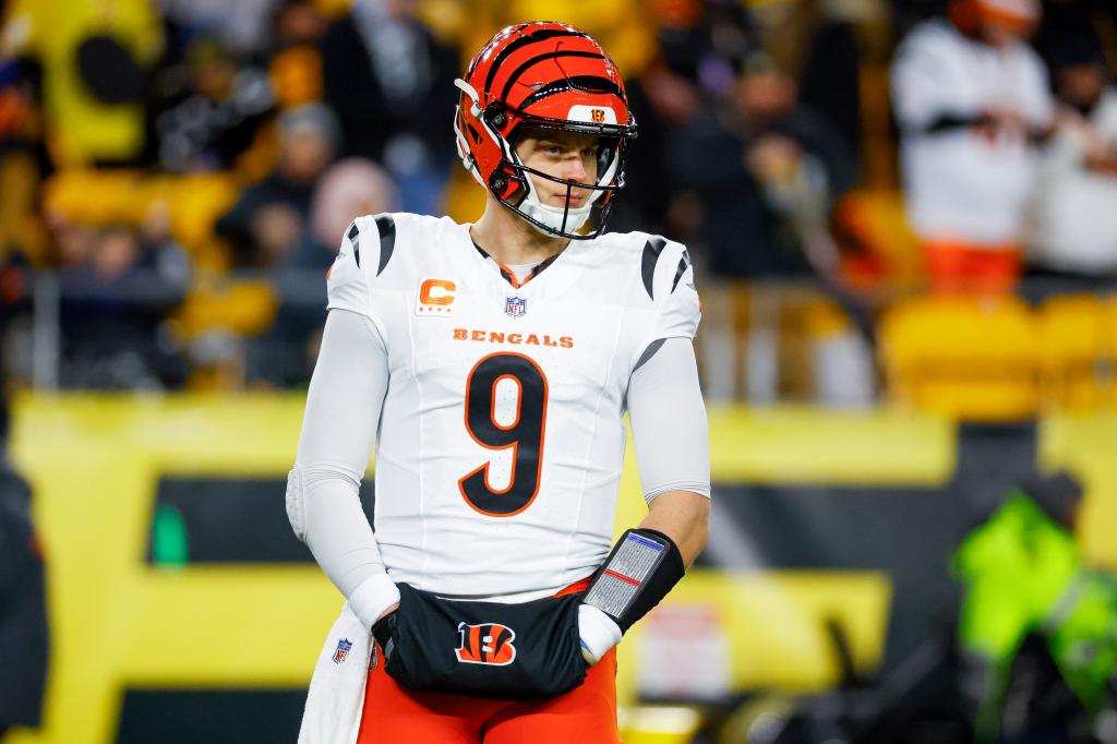 NYC pawn shop owner pleads guilty to fencing Joe Burrow's stolen property
