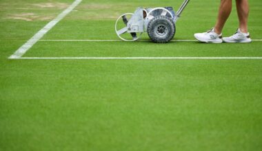 Tennis fans say they ‘hate’ what has happened to the courts at Wimbledon this year which is being called 'really bad'