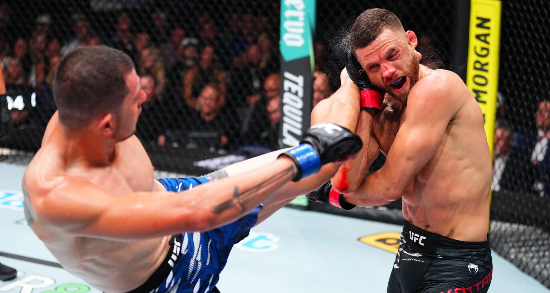 Photo by Jeff Bottari/Zuffa LLC