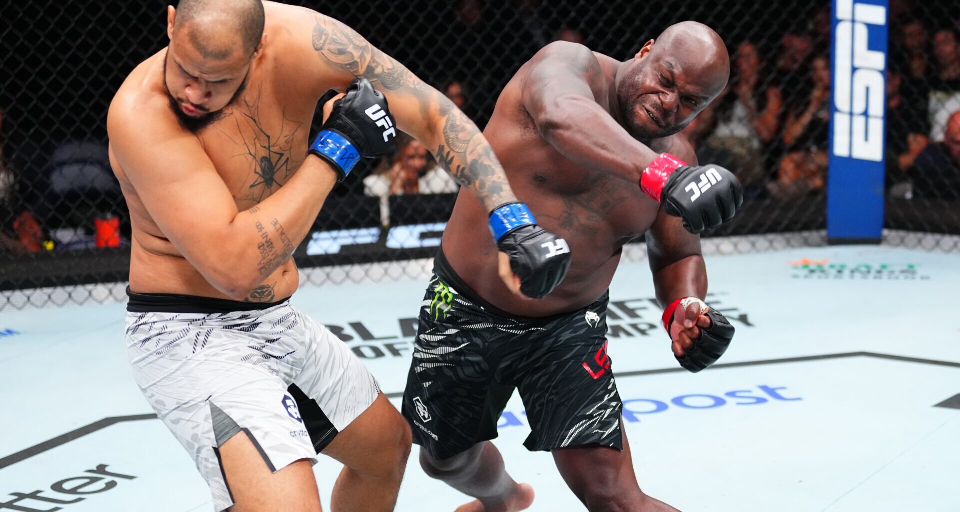 Photo by Jeff Bottari/Zuffa LLC