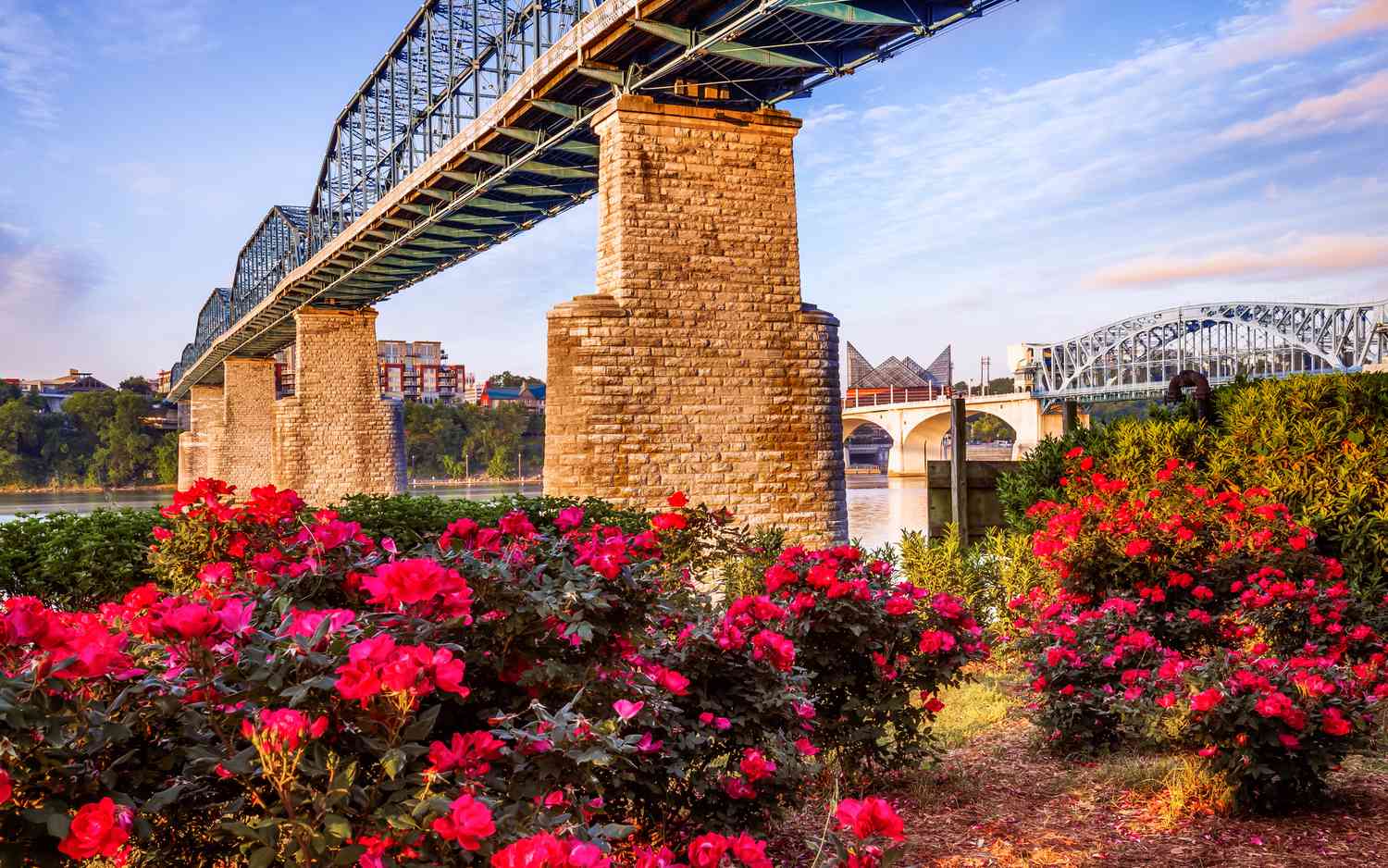 Why I Always Tell Visitors To Stop By This Cozy Chattanooga Bookstore