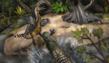 An Even Scarier Predator Hunted Giant 'Terror Birds' in South America