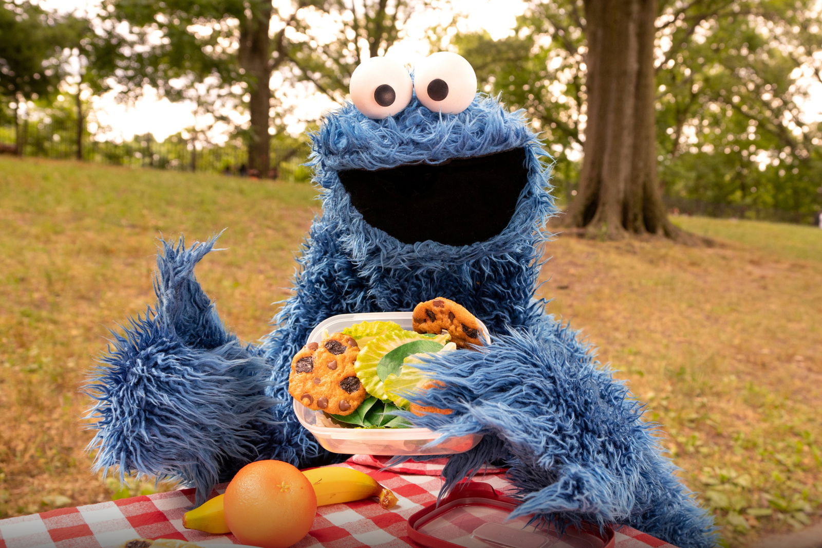 Cookie Monster to give NASCAR drivers command at Indianapolis