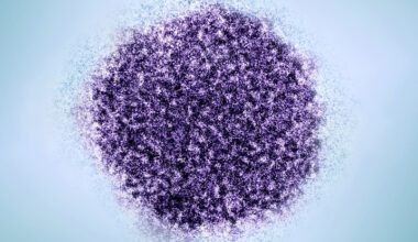 Hepatitis C Virus