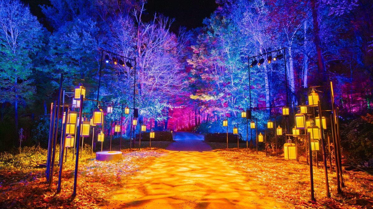 New interactive trail brings Harry Potter magic to Chicago suburb – NBC Chicago