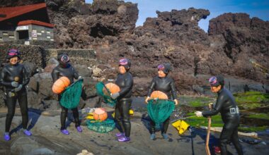 Haenyeo divers preparing for a dive