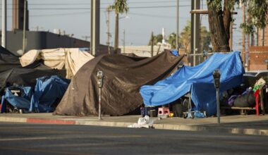 2025 Greater Los Angeles Homeless Count Local Raw Data