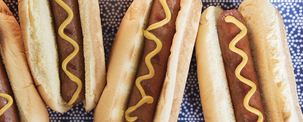 Massive Review Finds No 'Safe' Level of Processed Meat Consumption : ScienceAlert