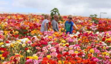 San Diego’s Best Family-Friendly Fun 2025: Parks, Classes & More