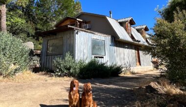San Diego bakery Wildwood Flour previously located in Pacific Beach and now opening a farm in Campo