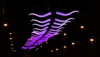 Dan Corson’s Flight Lights Up Fort Worth Underpass Again