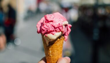 Phoenix's own Novel Ice Cream comes in at No. 1 on Yelp's 2025 list of the nation's best ice cream ...