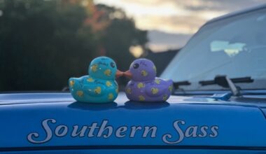 Rubber Ducks Kissing Melissa Kamin