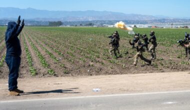 Feds offer $50,000 reward in apparent firing of gun at agents after clash with protesters