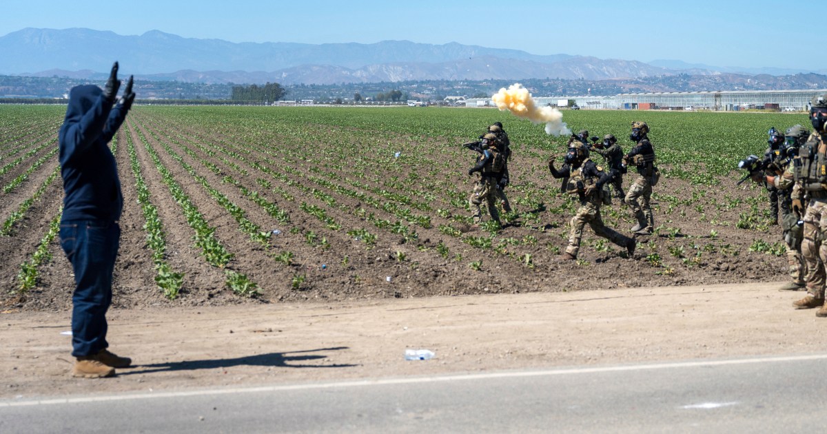 Feds offer $50,000 reward in apparent firing of gun at agents after clash with protesters