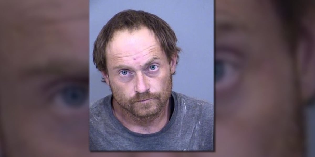 Phoenix police resubmit charges against alleged kidnapper after release from jail