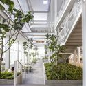 The Corner House / Monash University Department of Architecture - Image 5 of 29