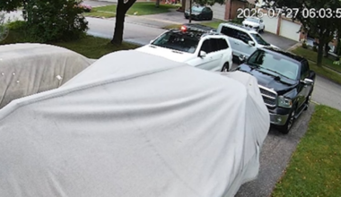Rabbit shot in Newmarket front yard, York police investigating