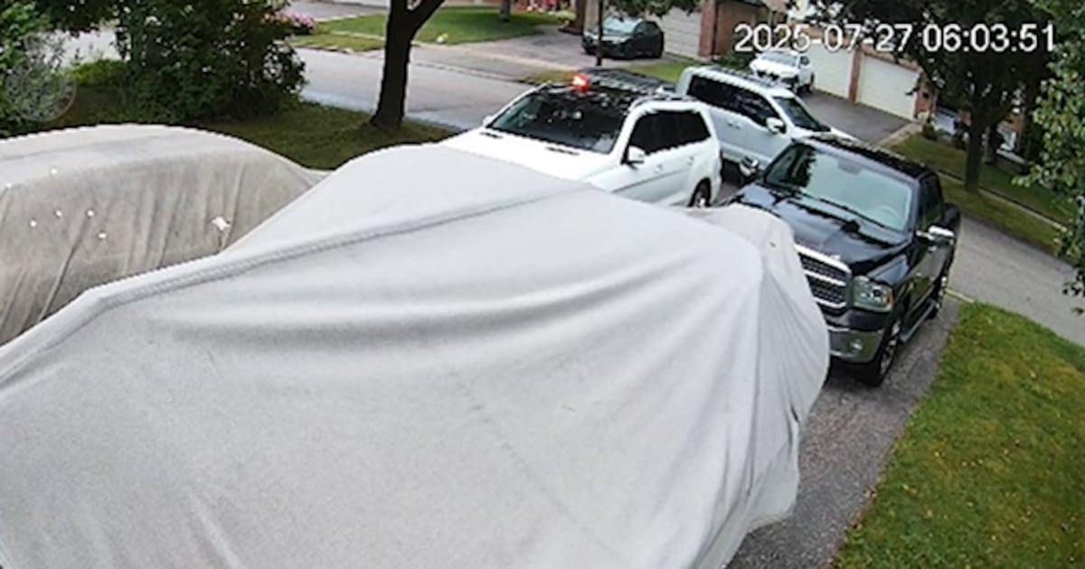 Rabbit shot in Newmarket front yard, York police investigating