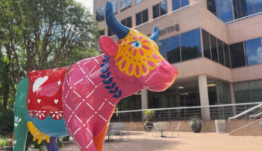 CowParade 2025 is in San Antonio