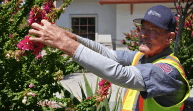 City of La Mesa recognized as age-friendly employer 