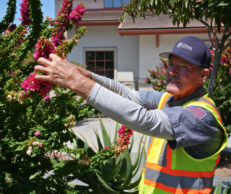 City of La Mesa recognized as age-friendly employer 
