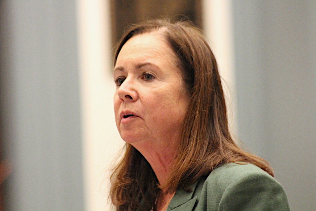 Dr. Janice Nevin, the president and CEO of ChristianaCare, testifies at a May 2025 hearing on House Bill 350.